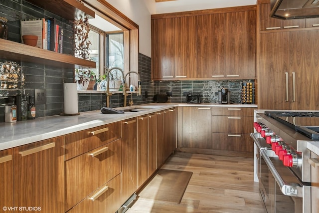 kitchen featuring sink, light hardwood / wood-style floors, stainless steel stove, and decorative backsplash