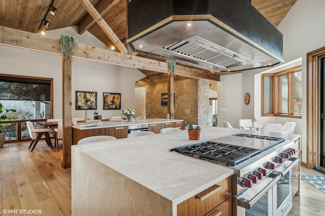 kitchen featuring premium range hood, high end stainless steel range oven, wood ceiling, light hardwood / wood-style floors, and track lighting