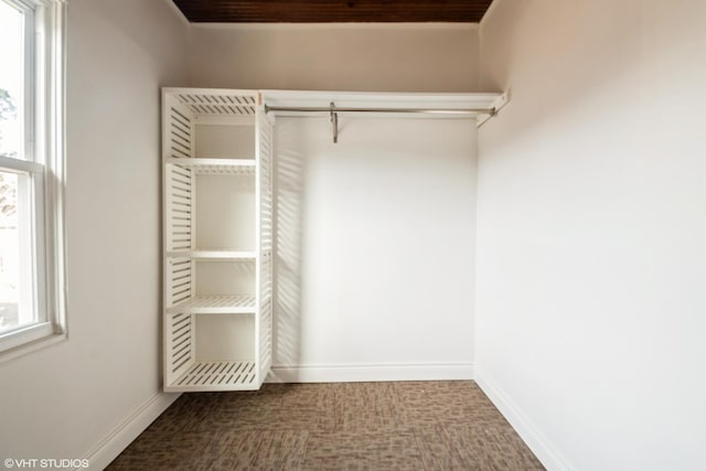 spacious closet with carpet flooring