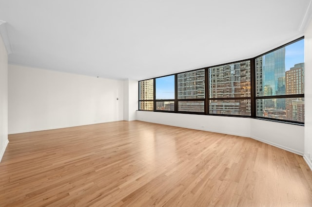 unfurnished room featuring a healthy amount of sunlight and light hardwood / wood-style floors