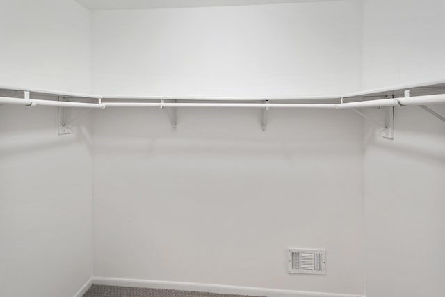 spacious closet featuring carpet flooring