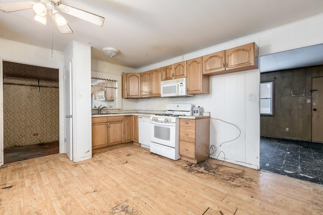 kitchen with ceiling fan, sink, light hardwood / wood-style floors, and white appliances