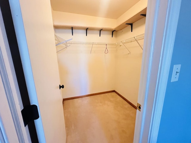 walk in closet featuring carpet flooring