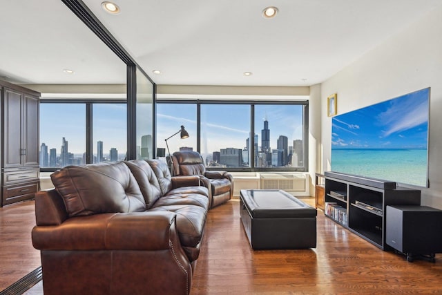 living room featuring a wealth of natural light, a view of city, and wood finished floors