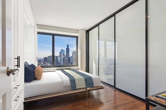 bedroom featuring a closet, a city view, and wood finished floors