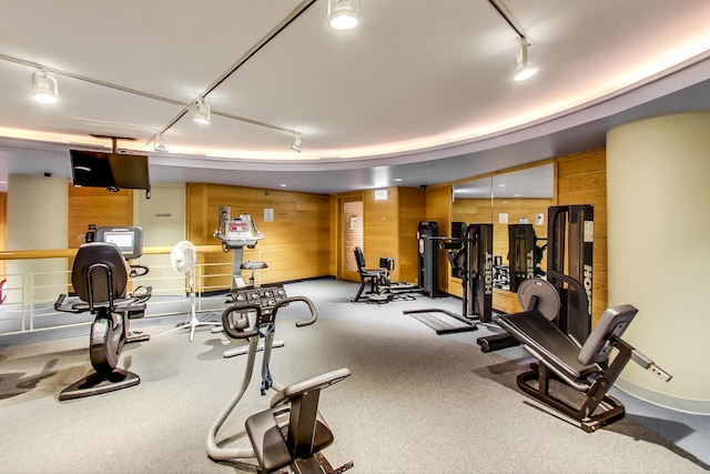 gym featuring rail lighting and wooden walls