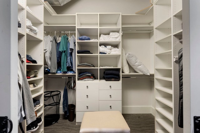 view of walk in closet