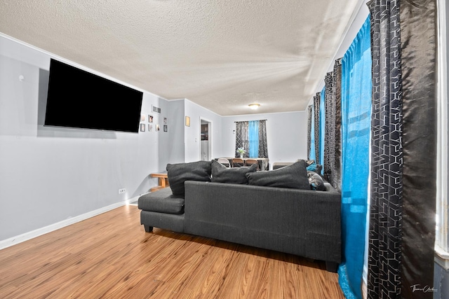 living room with hardwood / wood-style floors and a textured ceiling