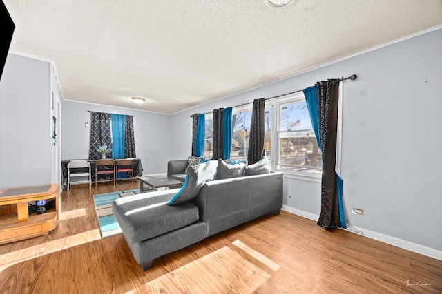 living room with hardwood / wood-style floors, a textured ceiling, and ornamental molding