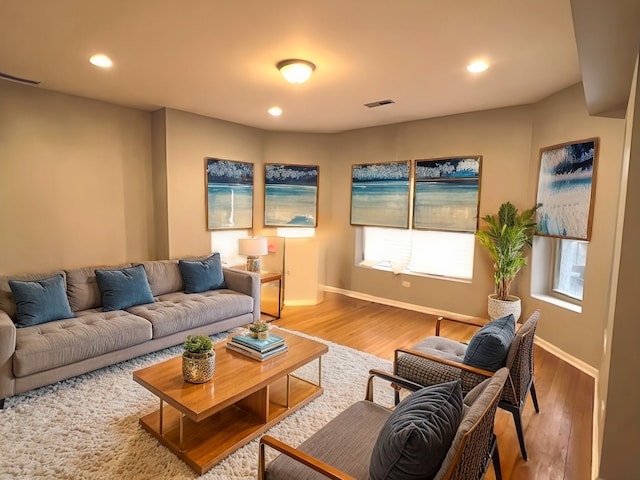 living room with wood-type flooring