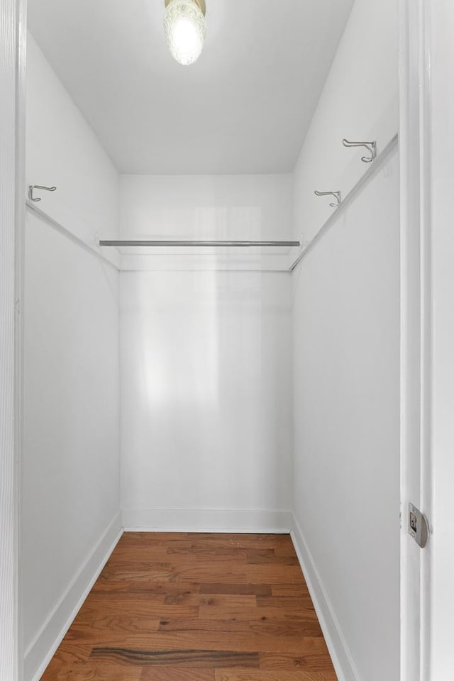 walk in closet featuring hardwood / wood-style flooring