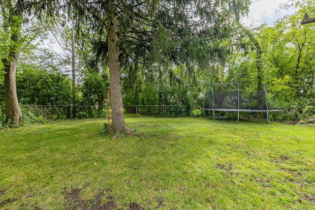 view of yard featuring a trampoline