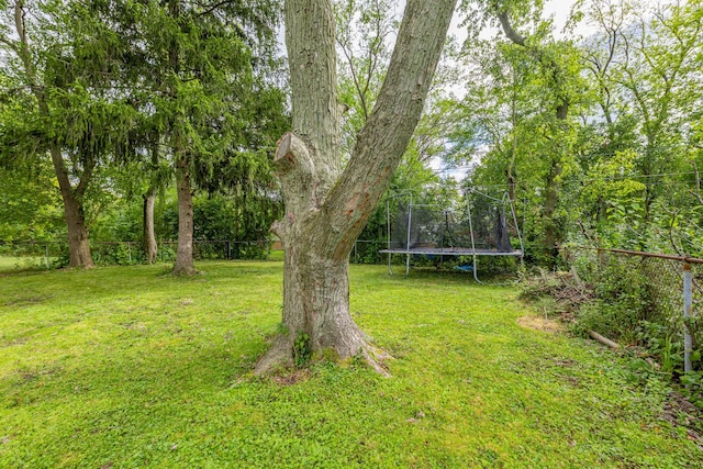 view of yard featuring a trampoline