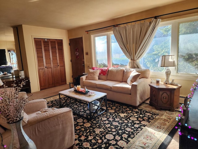 living room with a baseboard radiator and carpet