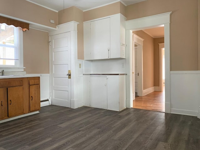 kitchen with white cabinets, a baseboard heating unit, dark hardwood / wood-style flooring, and sink