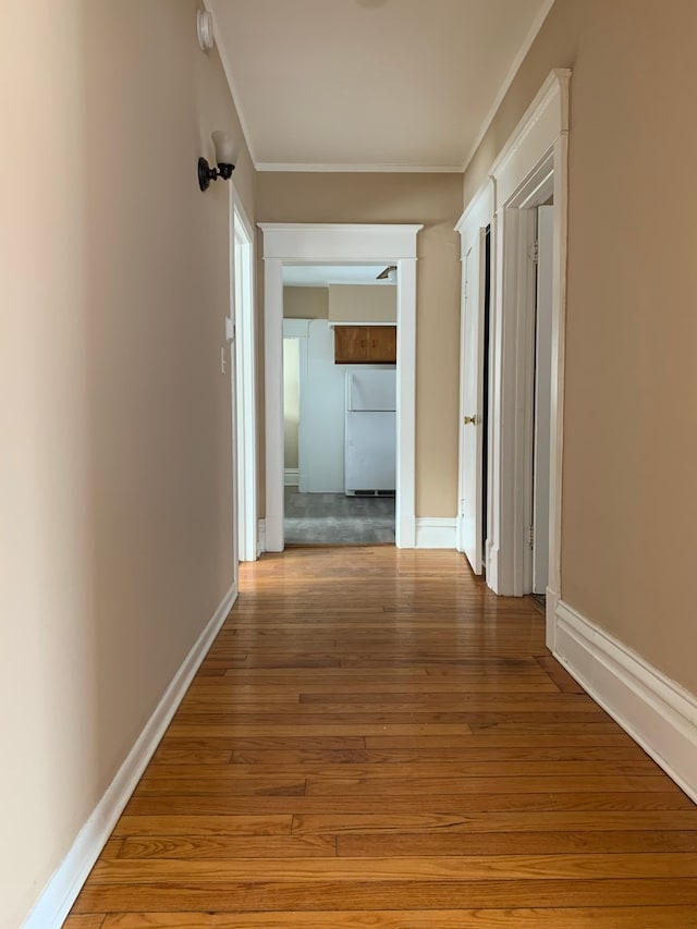 corridor with crown molding and hardwood / wood-style floors