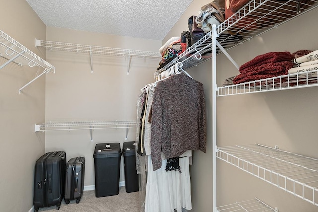 walk in closet with carpet