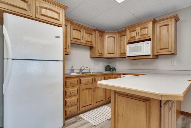 8726 E Goodfarm Rd, Gardner, IL 60424 - kitchen with white appliances, a sink, a peninsula, light countertops, and light wood-type flooring