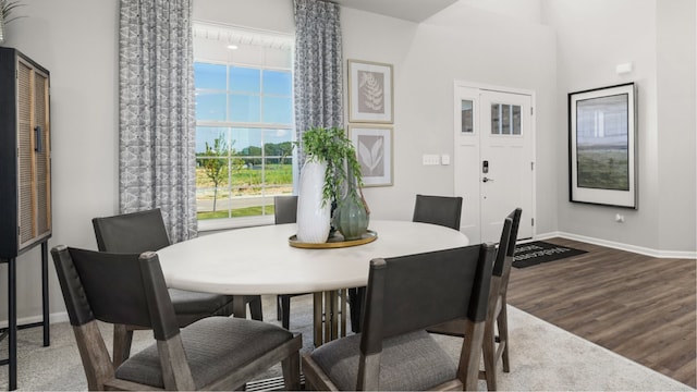 dining room featuring hardwood / wood-style flooring