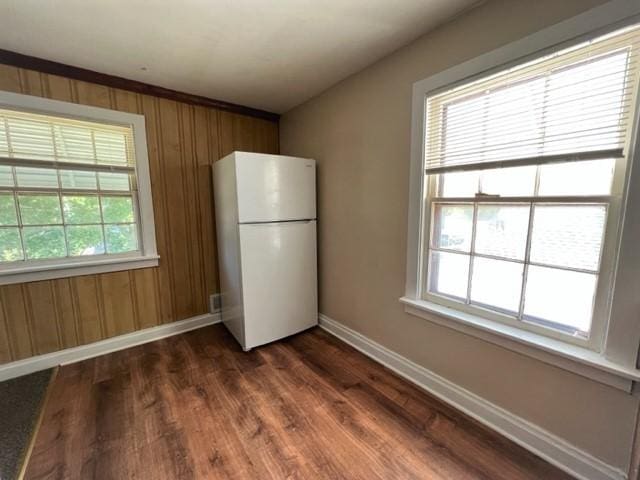 kitchen featuring dark hardwood / wood-style floors, wood walls, white fridge, and a healthy amount of sunlight