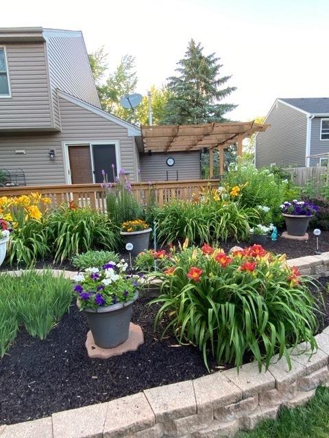 view of yard featuring a pergola