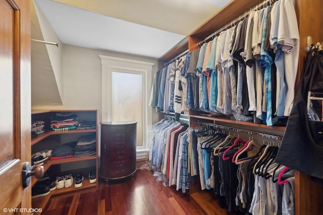 walk in closet with dark wood-type flooring