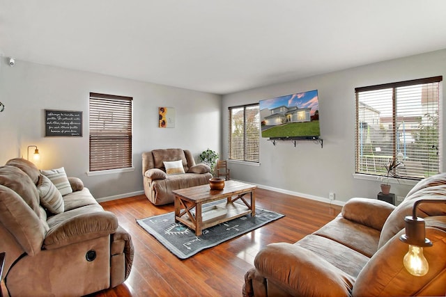 living room with wood-type flooring