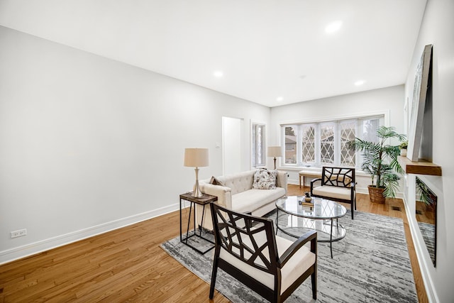 living room featuring wood-type flooring