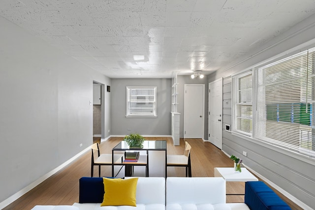 living room featuring hardwood / wood-style floors