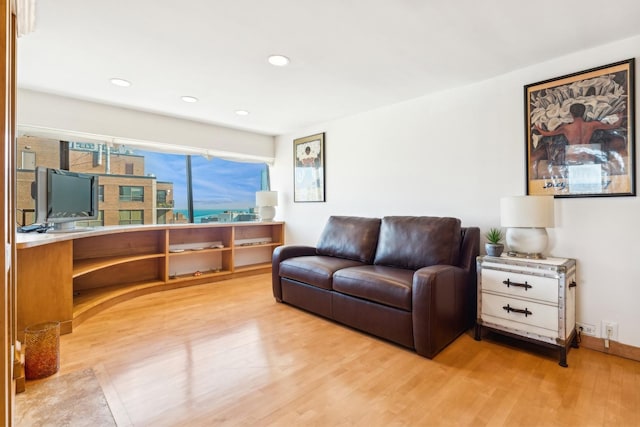 living room with light wood-type flooring