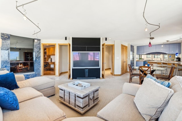 living room featuring a fireplace