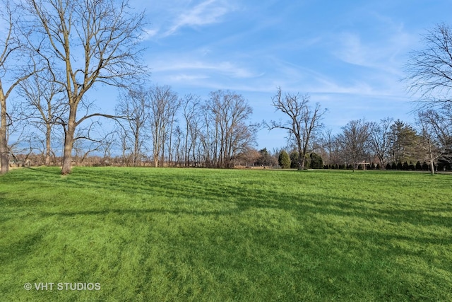 view of yard with a rural view