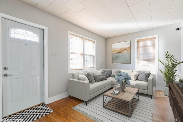 living room with dark wood-type flooring