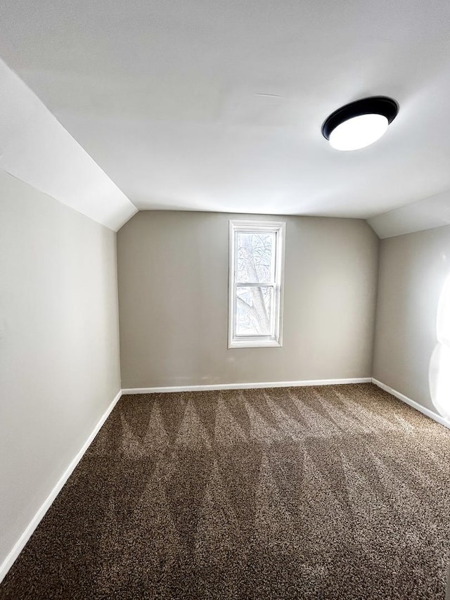 bonus room featuring vaulted ceiling and carpet