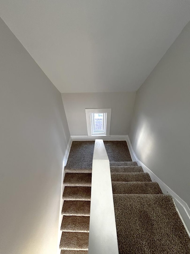 stairs featuring carpet floors