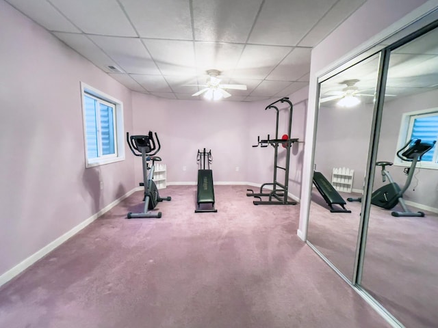 exercise area featuring ceiling fan, carpet flooring, and a drop ceiling