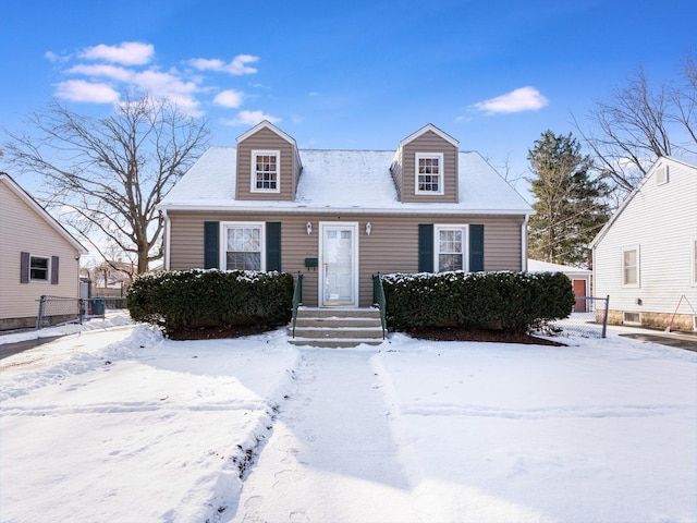 view of cape cod home