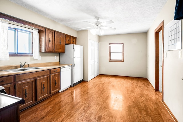 kitchen featuring sink, white appliances, light hardwood / wood-style flooring, ceiling fan, and a textured ceiling