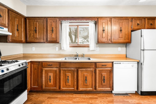 kitchen with sink, white appliances, and light hardwood / wood-style flooring