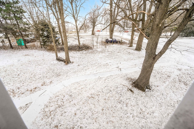 view of yard covered in snow