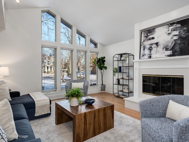 living room with hardwood / wood-style floors and high vaulted ceiling