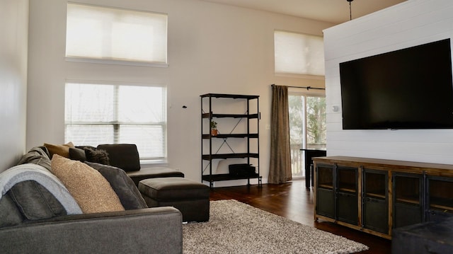 living room featuring dark hardwood / wood-style flooring