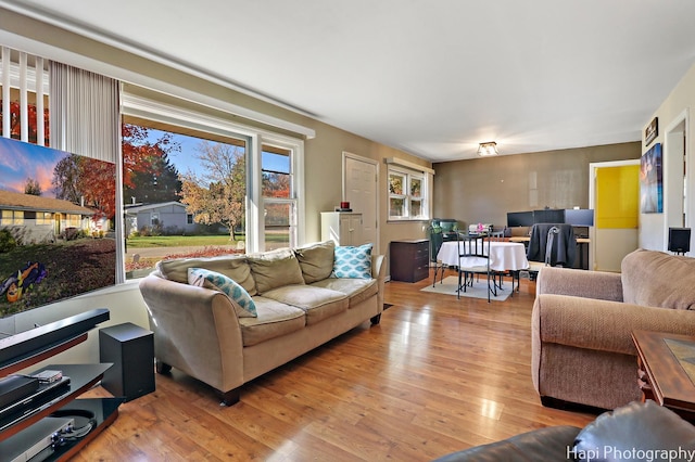 living room featuring light hardwood / wood-style floors