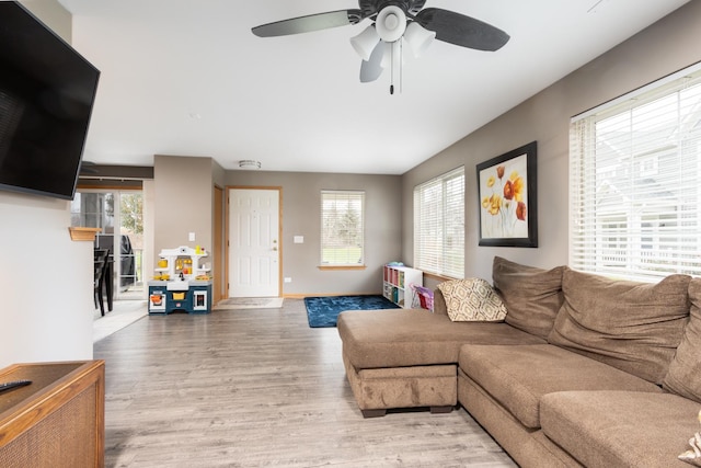 living room featuring ceiling fan, wood-type flooring, and plenty of natural light