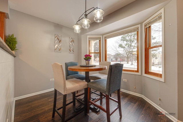 dining room featuring a healthy amount of sunlight and dark wood-type flooring