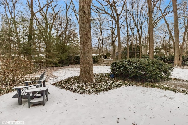 view of snowy yard