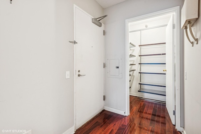 hallway featuring electric panel and dark hardwood / wood-style floors