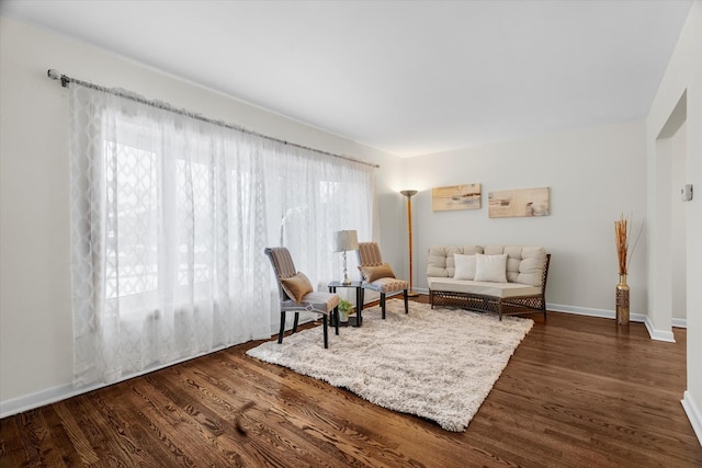 living area featuring dark wood-type flooring