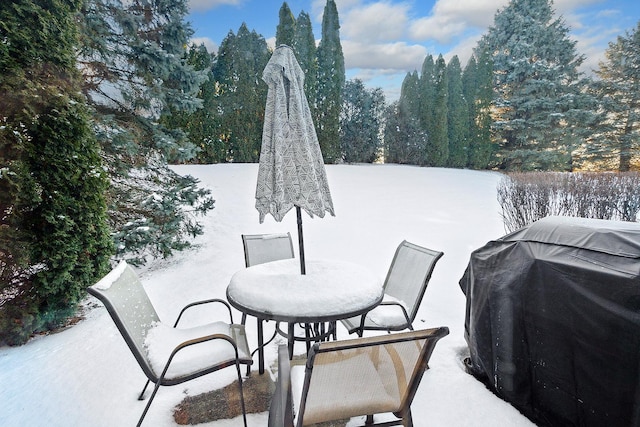 snow covered patio with grilling area