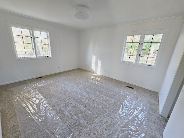 spare room with carpet flooring and crown molding